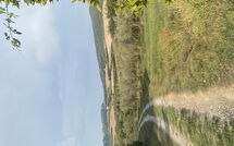 Foto pubblicata dell'ospite di Cuccardino