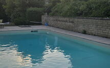 Foto pubblicata dell'ospite di Casa la Primula