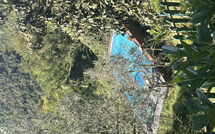 Foto pubblicata dell'ospite di Il Castagneto