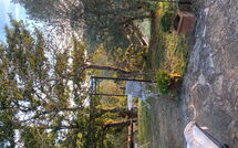 Foto pubblicata dell'ospite di La Casina del Bosco