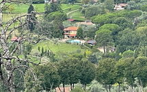 Foto pubblicata dell'ospite di Costacce