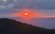Foto pubblicata dell'ospite di Casetta i Ciliegi