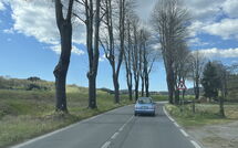 Foto pubblicata dell'ospite di La Sorgente