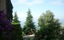 Foto pubblicata dell'ospite di La Capraia