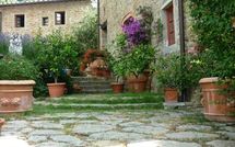 Foto pubblicata dell'ospite di La Capraia