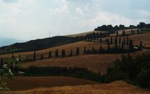 Foto pubblicata dell'ospite di Podere la Marronaia