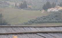 Foto pubblicata dell'ospite di Podere la Marronaia