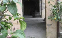 Foto pubblicata dell'ospite di Podere Centone