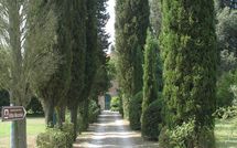 Foto pubblicata dell'ospite di Villa Fontine