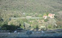 Foto pubblicata dell'ospite di Montescalari