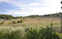 Foto pubblicata dell'ospite di Montescalari