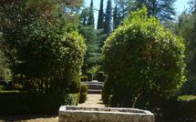 Foto pubblicata dell'ospite di Palazzo Sarteano