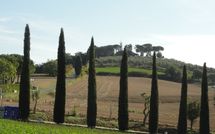 Foto pubblicata dell'ospite di Villa Carolina