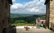 Foto pubblicata dell'ospite di La Chiantigiana