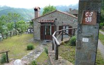 Foto pubblicata dell'ospite di Paradiso