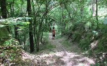 Foto pubblicata dell'ospite di Il Palazzetto