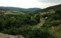 Foto pubblicata dell'ospite di Casa Monica