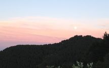 Foto pubblicata dell'ospite di Al Mennucci