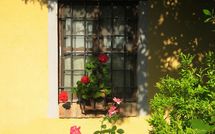 Foto pubblicata dell'ospite di Limoni