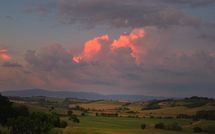 Foto pubblicata dell'ospite di Limoni