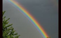 Foto pubblicata dell'ospite di Limoni