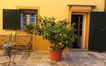 Foto pubblicata dell'ospite di Flavia