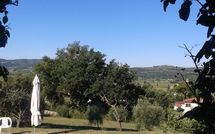 Foto pubblicata dell'ospite di Casa Felice
