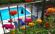 Foto pubblicata dell'ospite di Palazzo Rosadi