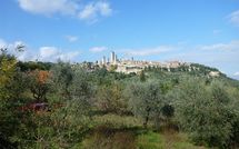 Foto pubblicata dell'ospite di Podere degli Olivi