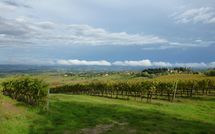 Foto pubblicata dell'ospite di Podere degli Olivi