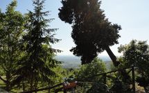 Foto pubblicata dell'ospite di Borgo del Castagno