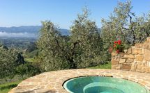 Foto pubblicata dell'ospite di Villa Flora