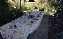 Foto pubblicata dell'ospite di La Sorgente