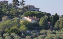 Foto pubblicata dell'ospite di Uccellaia
