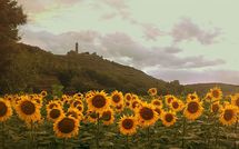 Foto pubblicata dell'ospite di Casa San Martino