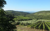 Foto pubblicata dell'ospite di Agriturismo Concadoro