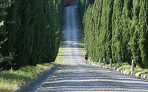 Foto pubblicata dell'ospite di Le Gallozzole