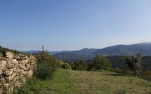 Foto pubblicata dell'ospite di Agriturismo Il Basso