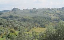 Foto pubblicata dell'ospite di Montegufoni