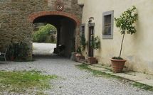 Foto pubblicata dell'ospite di Villa Fabbroni - Fattoria San Polo