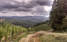 Foto pubblicata dell'ospite di Tenuta