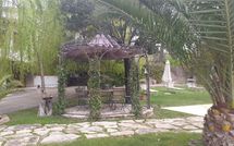 Foto pubblicata dell'ospite di Villa Carolina
