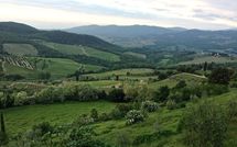 Foto pubblicata dell'ospite di La Chiantigiana