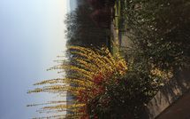 Foto pubblicata dell'ospite di Casa Sabrina