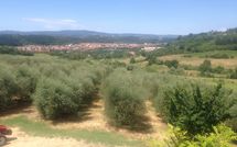 Foto pubblicata dell'ospite di Villa Alabastro