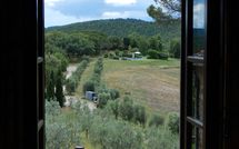 Foto pubblicata dell'ospite di Filigare