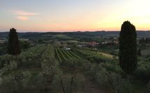 Foto pubblicata dell'ospite di Villa Roberto