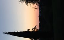Foto pubblicata dell'ospite di Podere Orietta
