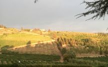 Foto pubblicata dell'ospite di Casa Rossa