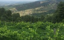 Foto pubblicata dell'ospite di Castellinuzza